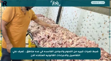 ضبط كميات كبيرة من اللحوم والدواجن الفاسدة في عدة مناطق.. تعرف على التفاصيل والإجراءات القانونية المتخذة الآن